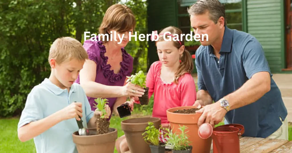Family Herb Garden