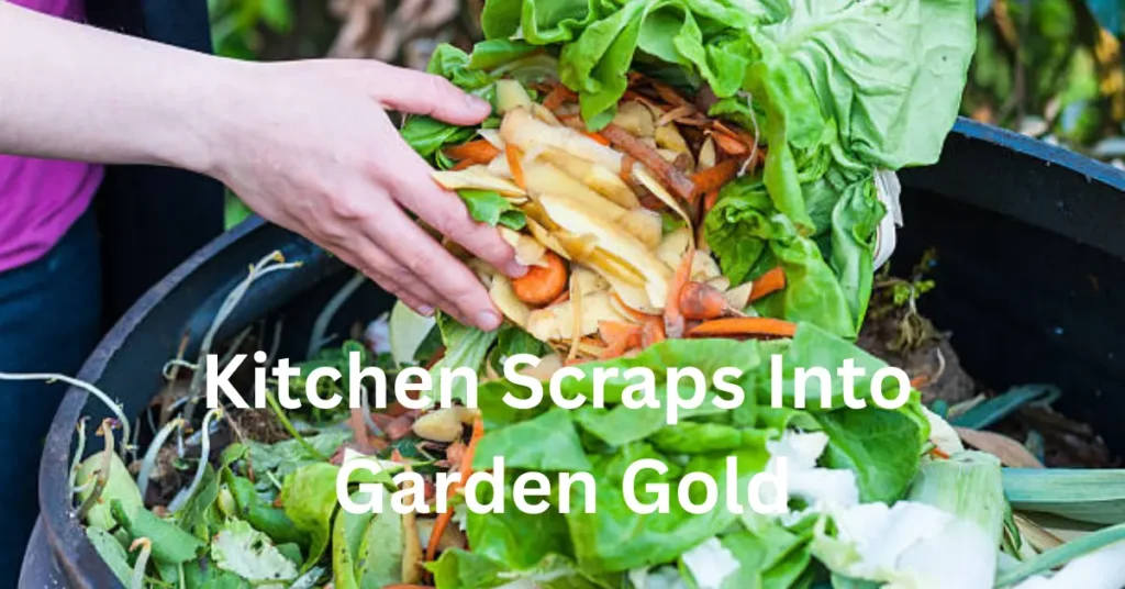 Kitchen Scraps Into Garden Gold