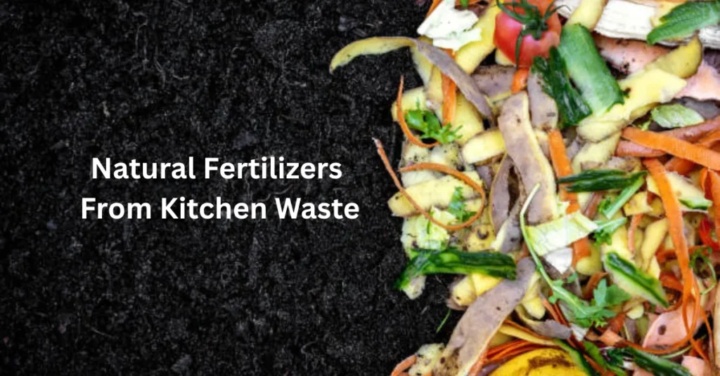 Natural Fertilizers From Kitchen Waste