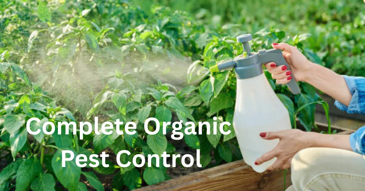 A Complete Organic Pest Control Guide