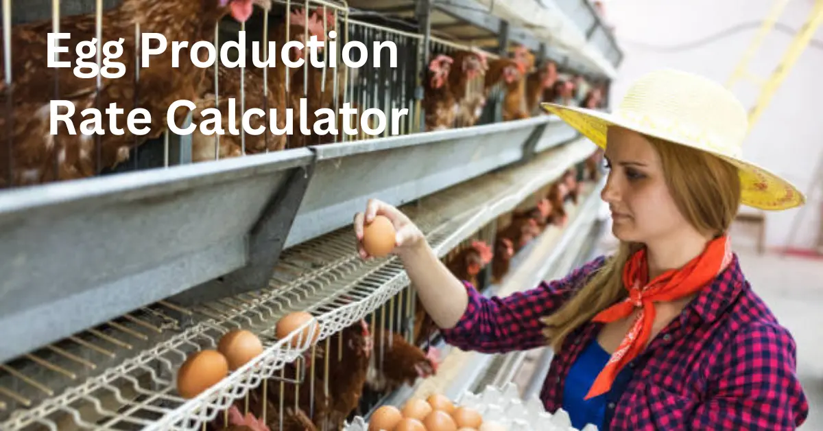 Egg Production Rate Calculator