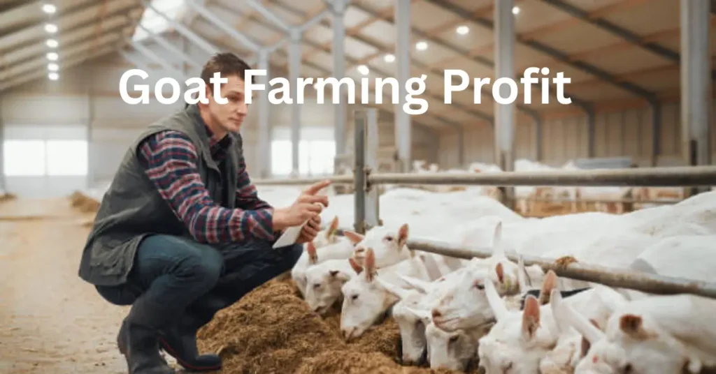 Cattle, Buffalo Weight Gain Calculator: Track ADG, Project Target Weight 2 Goat Weight Gain Calculator