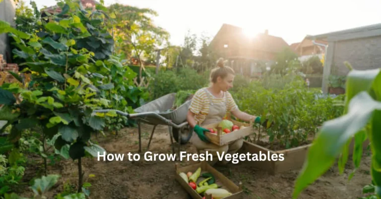How to Grow Fresh Vegetables
