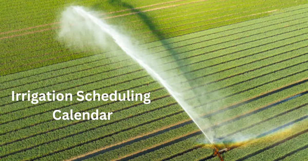 Irrigation Scheduling Calendar