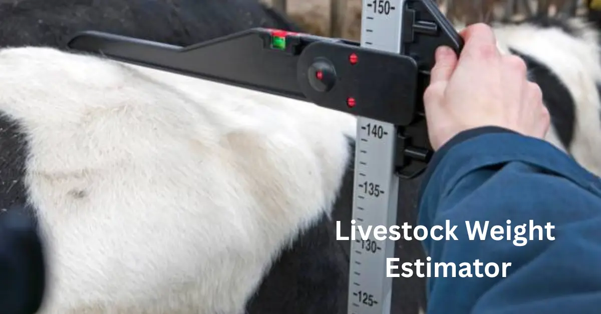 Livestock Weight Estimator