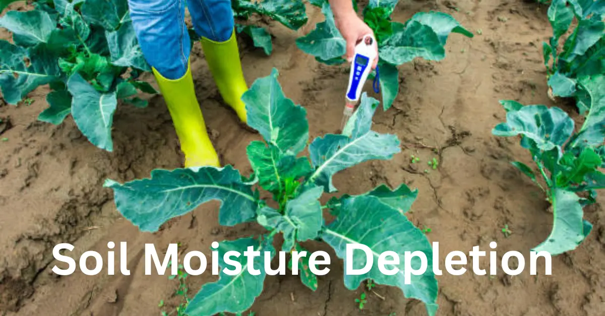 Soil Moisture Depletion