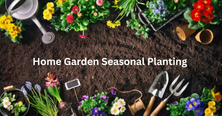 Home Garden Seasonal Planting