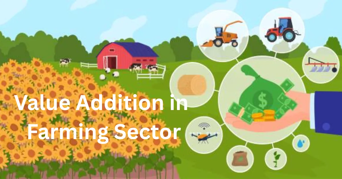 Value Addition in Farming Sector