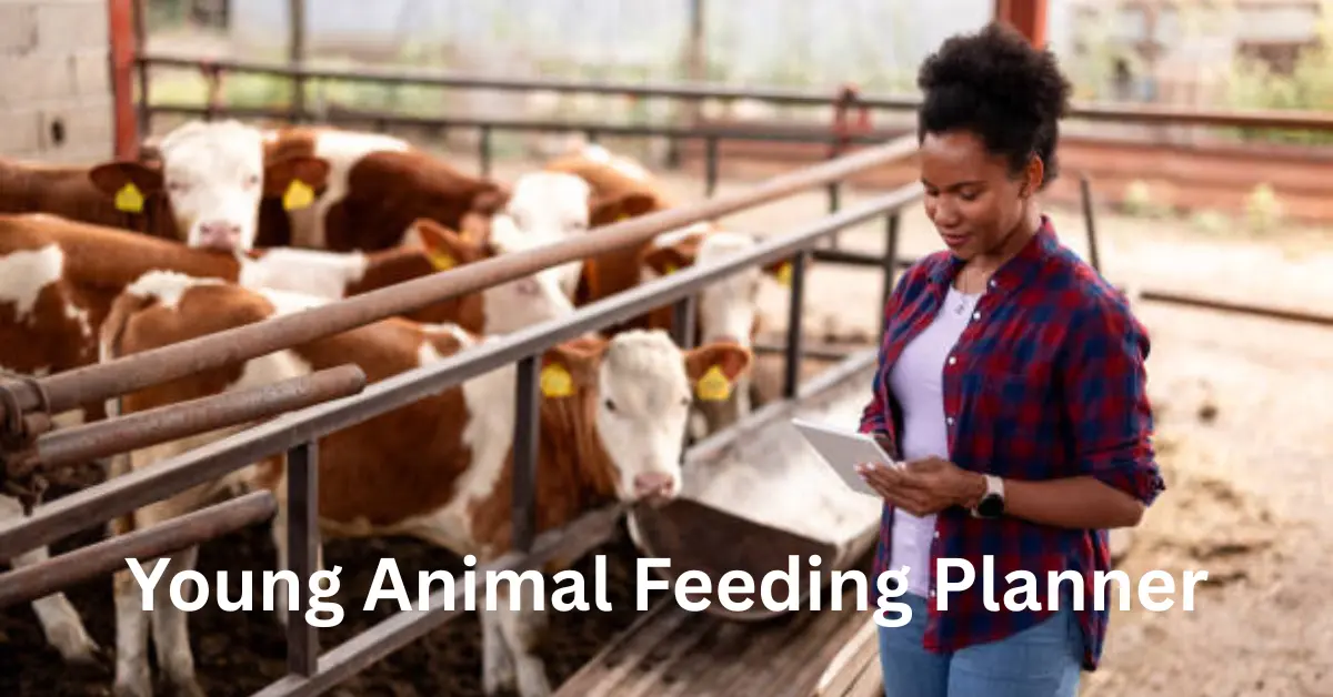 Young Animal Feeding Planner