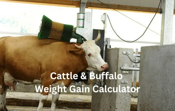 Cattle & Buffalo Weight Gain Calculator