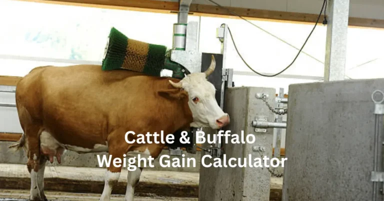 Cattle & Buffalo Weight Gain Calculator