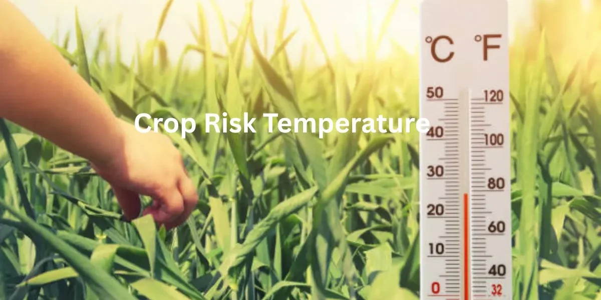 Crop Risk Temperature Calculator