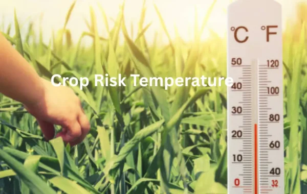 Crop Risk Temperature Calculator