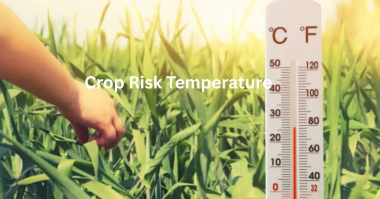 Crop Risk Temperature Calculator
