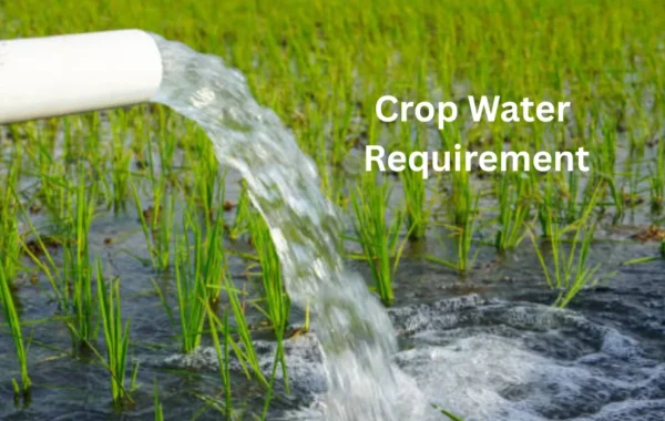 Crop Water Requirement Calculator