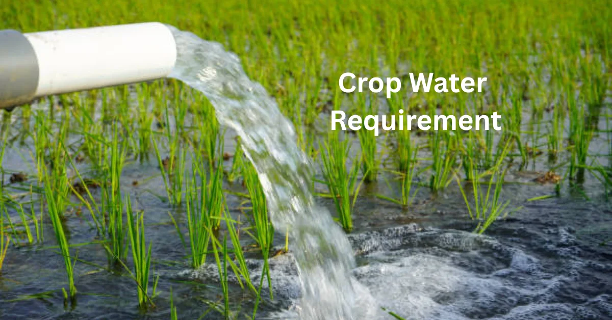 Crop Water Requirement Calculator: Calculate Full Season Irrigation Needs in mm & Litres per Acre Free Any Crop 1 Crop Water Requirement Calculator