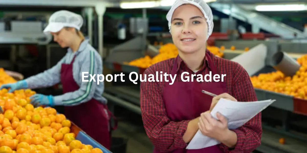Export Quality Grader