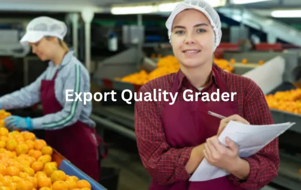 Export Quality Grader