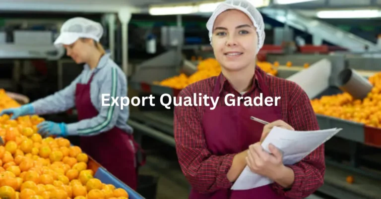 Export Quality Grader