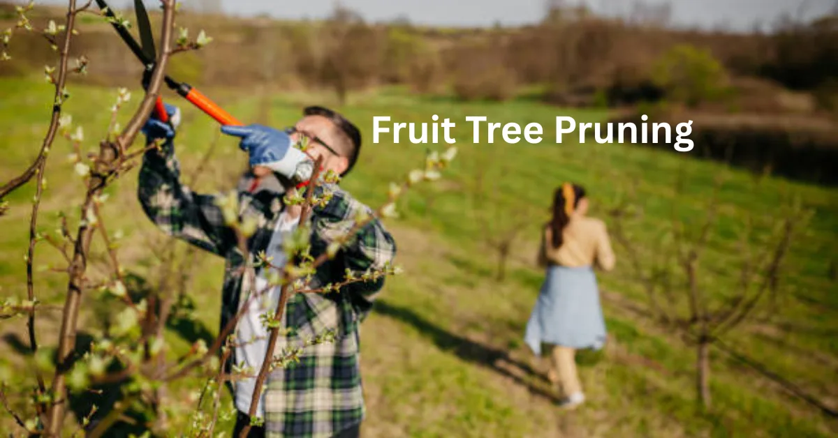 Fruit Tree Pruning Guide