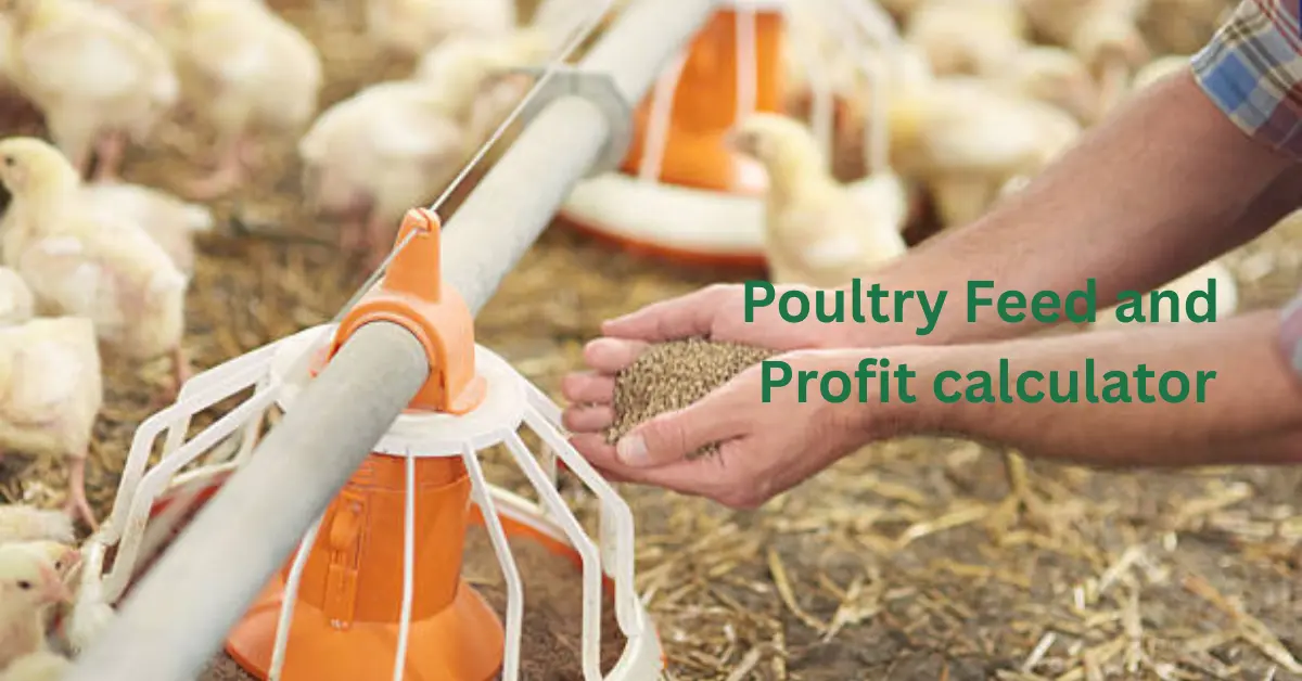 Poultry Feed & Profit Calculator: Know Your Broiler and Layer Farm's True Profit 1 Poultry Feed and Profit calculator
