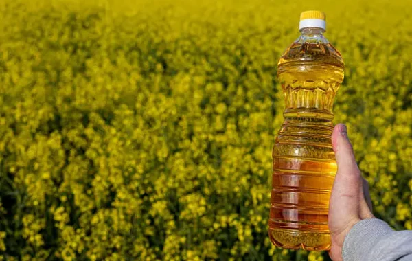 Smart Oil Yield Calculator