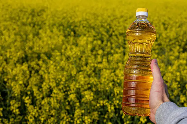 Smart Oil Yield Calculator