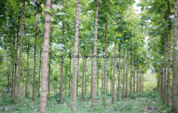 Tree Yield and Revenue Calculator