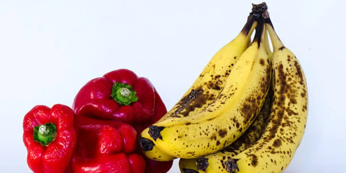 Shelf Life Calculator