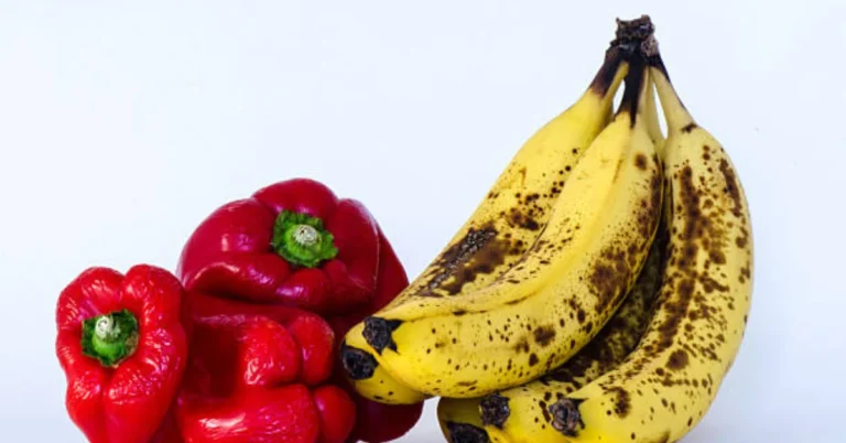 Shelf Life Calculator