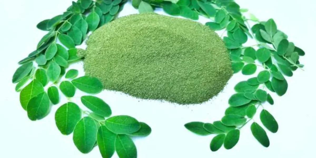 Powder Yield Calculator