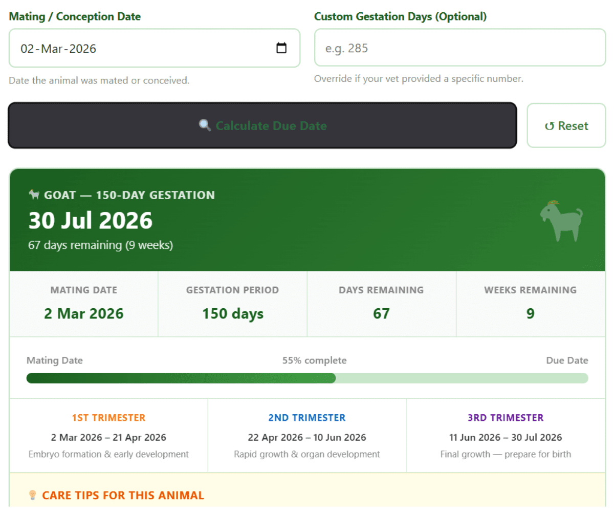 Animal Gestation Calculator
