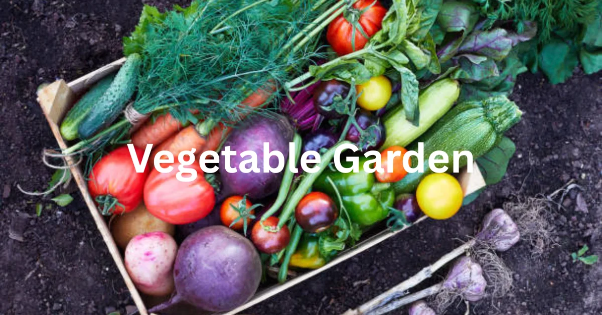 Grow a Full Vegetable Garden for Under $10: The Zero-Waste Budget Gardening Guide