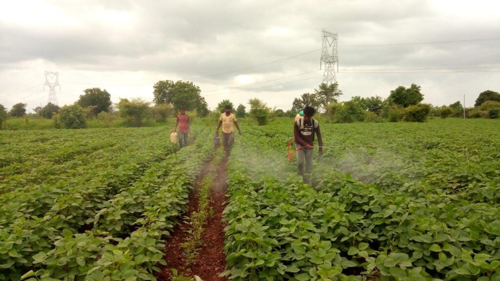 Liquid Fertilizer Dilution Calculator: Get the Exact Mix Ratio & Water Volume for Any Liquid Fertilizer Free 3 lalita's farm spray