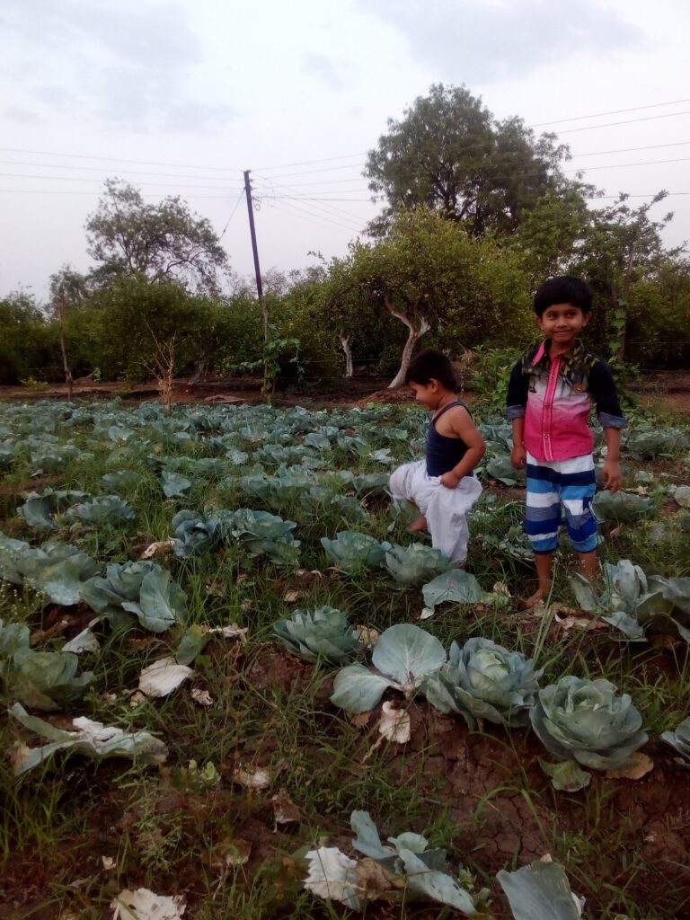 Silage Bag Calculator: Silage Bag & Bunker Estimate Tonnage, Volume & Storage Capacity Instantly Free 2 Lalita's son and daughter are observing crop growth on their family farm.