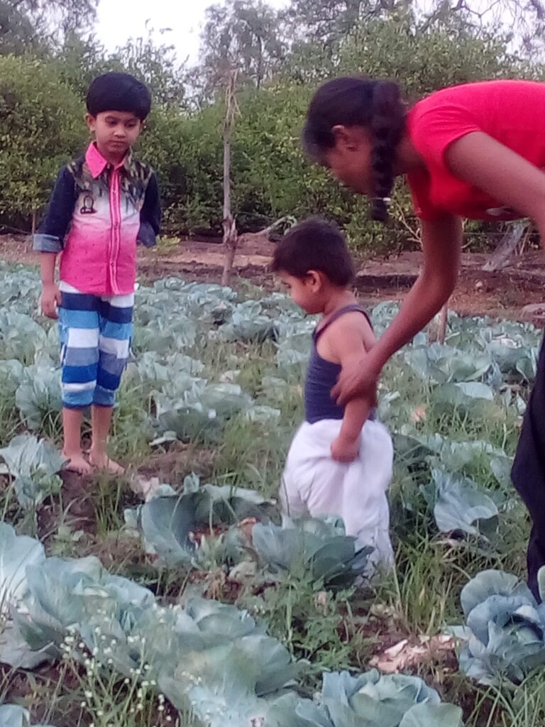 Lalita's Child are observing his Farm