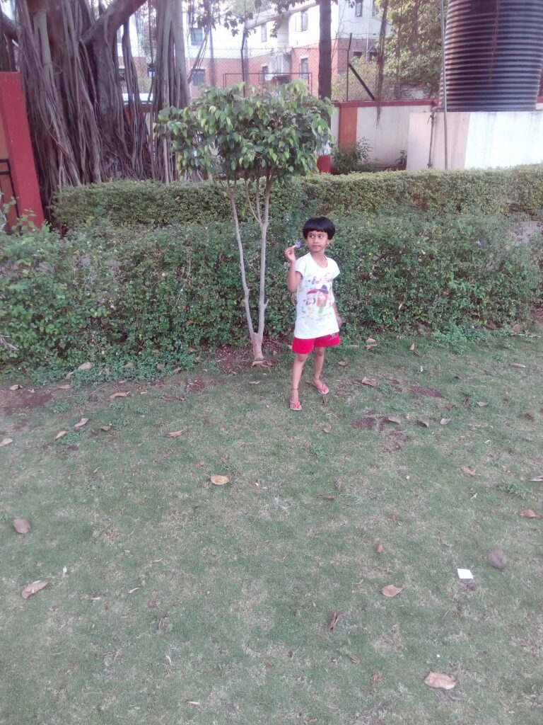 Gypsum Requirement Calculator: How Much Gypsum for Sodic or Saline Soil Reclamation? Get Exact Dose Free 3 Observation of the soil and flowers in Lalita's home garden — Soumya (her daughter)