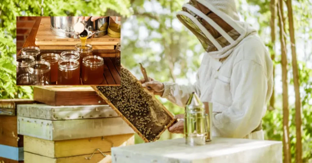 Honey Production Calculator for all